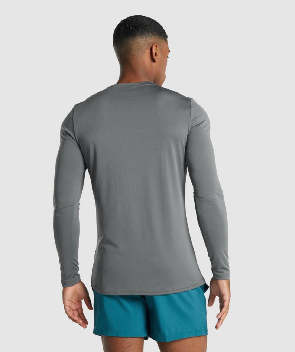 Long Sleeve Męskie Gymshark Arrival Grafiką Szare | PL 3663AHK